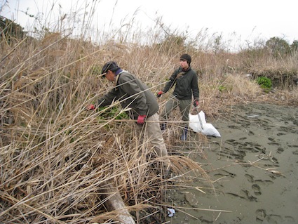 2014年3月1日（土）干潟清掃で「渡り鳥サポーターになろう！」＋αシンポジウム⑤