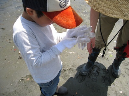 2014年5月3日（土）干潟清掃で「渡り鳥サポーターになろう！」⑳