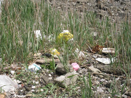 2014年5月3日（土）干潟清掃で「渡り鳥サポーターになろう！」⑦