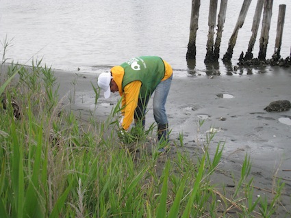 2014年7月5日（土）干潟清掃で「渡り鳥サポーターになろう！」20