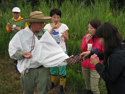 2014年7月5日（土）干潟清掃で「渡り鳥サポーターになろう！」14