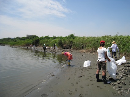 2014年8月2日（土）干潟清掃で「渡り鳥サポーターになろう！」13