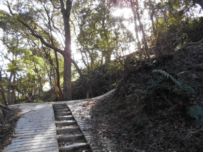 益富城(大隈城)３６・本丸跡へ続く二の丸跡への階段