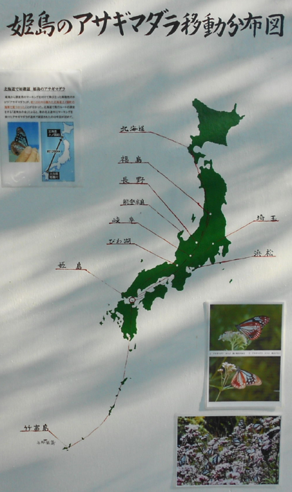 姫島のアサギマダラ移動分布図