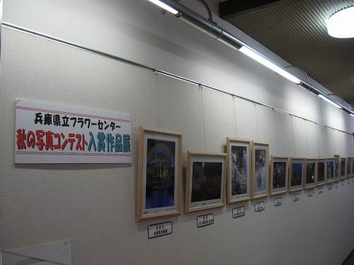 兵庫県立フラワーセンター　秋の写真コンテスト入賞作品展