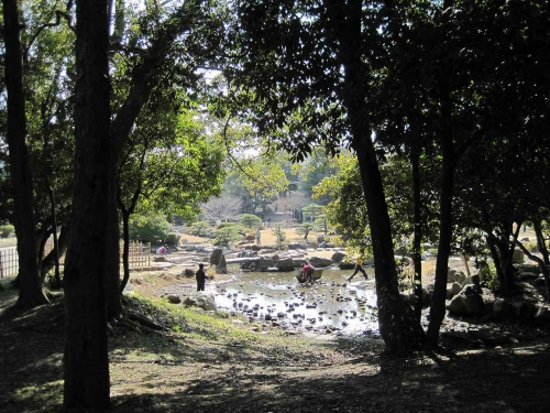 明石公園　武蔵の庭園