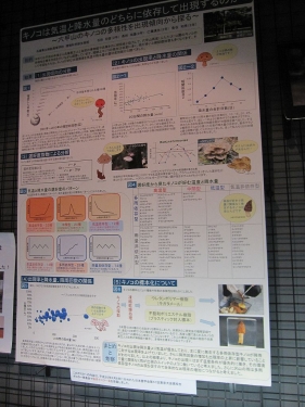 六甲山のキノコ展2014
