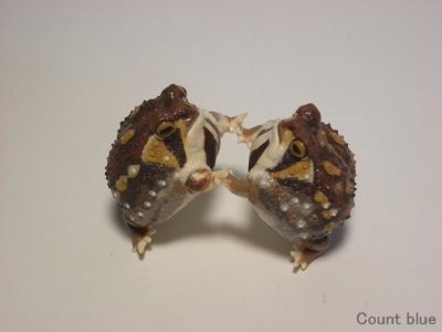 g0587.jpg