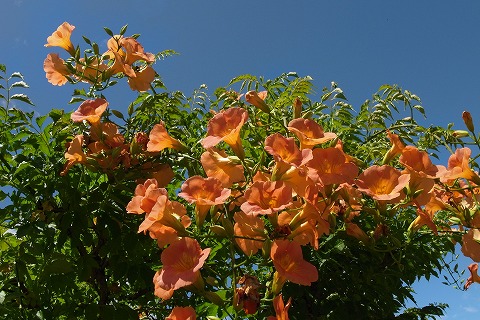R6252562.jpg