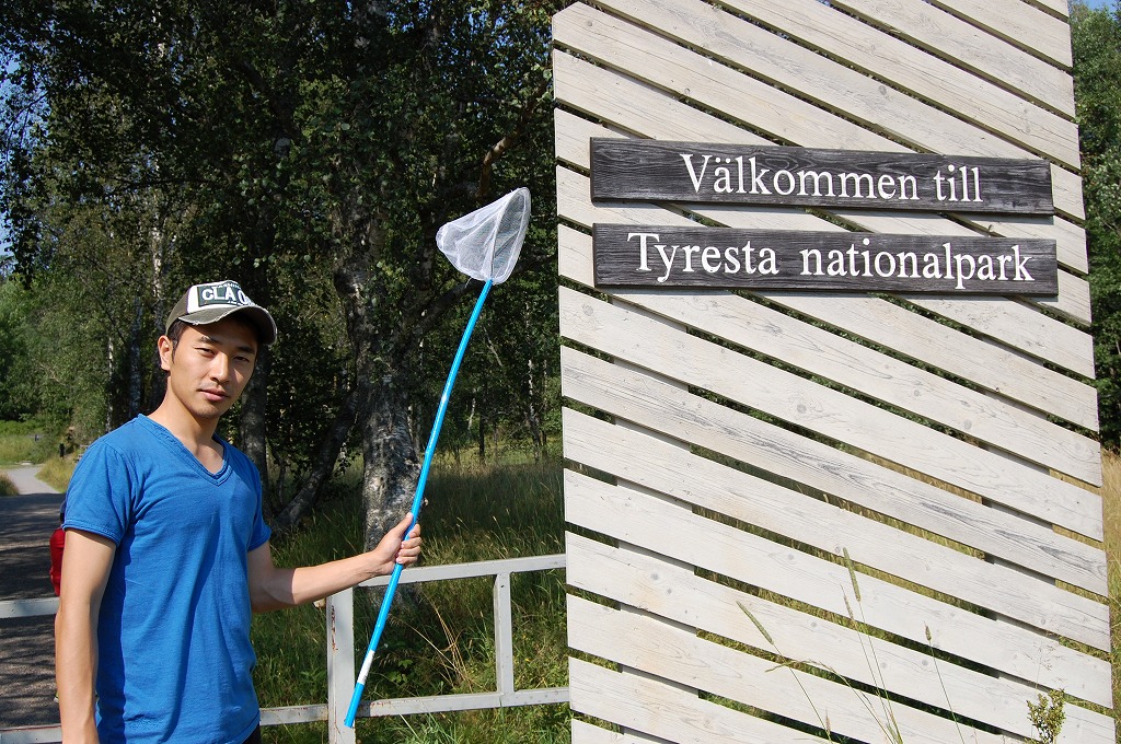 Tyresta 国立公園