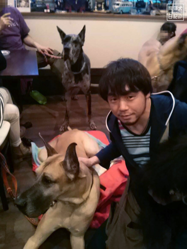 20140502_ドッグカフェと大型犬3