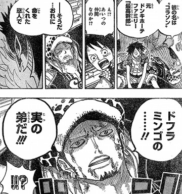 One Piece ローの恩人と D の意志 との繋がり もの日々