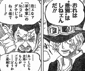One Piece 勝利の 切り札 と藤虎の思惑 もの日々