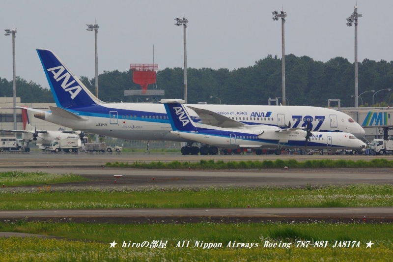 hiroの部屋　All Nippon Airways Boeing 787-881 JA817A