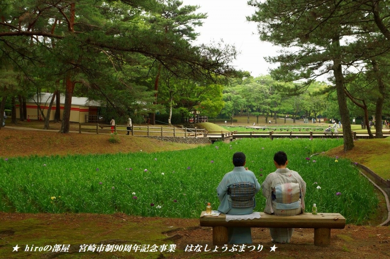 hiroの部屋　宮崎市制90周年記念事業　はなしょうぶまつり　阿波岐原森林公園