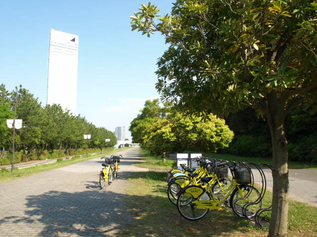 P140622c.jpg