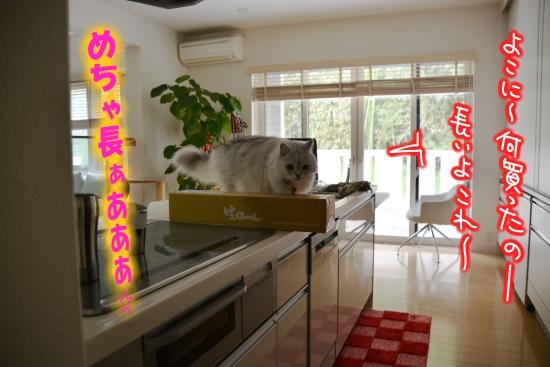 akat1