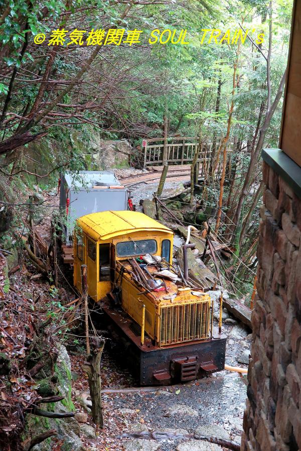 蒸気機関車 Soul Train S 安房森林軌道