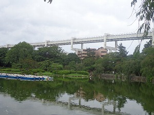 千葉公園 (6)