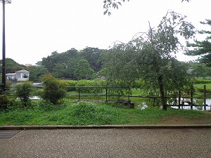 千葉公園 (4)