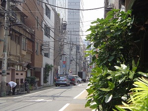 甘味処 竹むら (21)