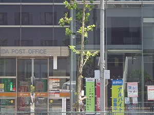 神田郵便局前交差点 (7)
