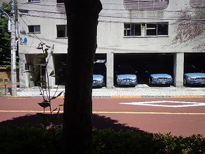 東京大学医学薬学部西側 (14)