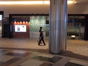 東京駅 (40)