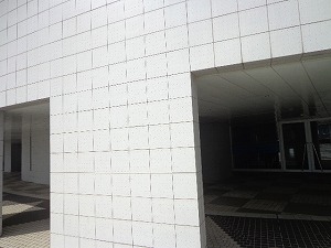 晴海客船ターミナル (6)