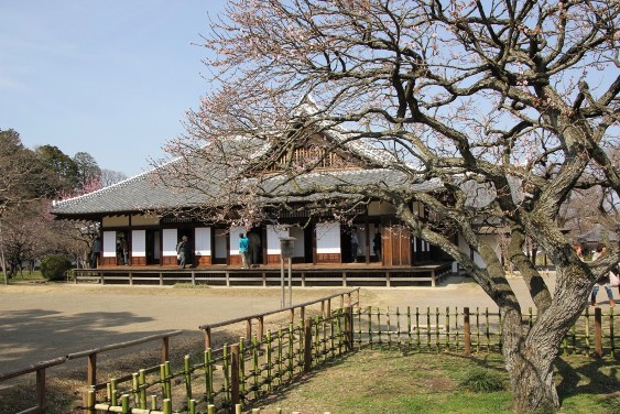 烈公梅と弘道館