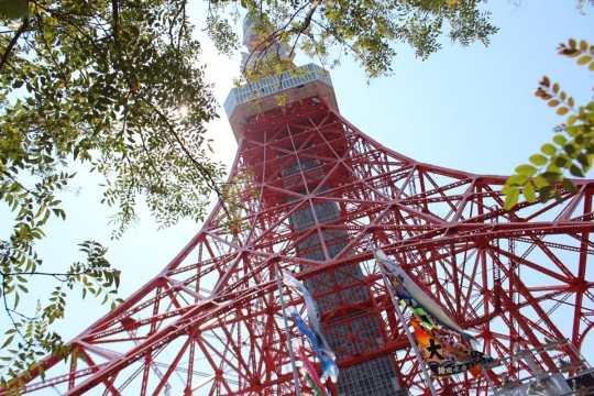 東京タワーと鯉幟１０