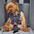 犬　シートベルト