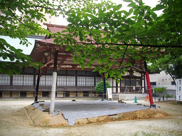 博多住吉神社の土俵