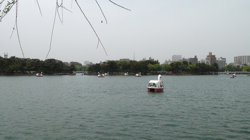 大濠公園のボート