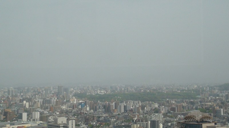 福岡タワーから見下ろした大濠公園